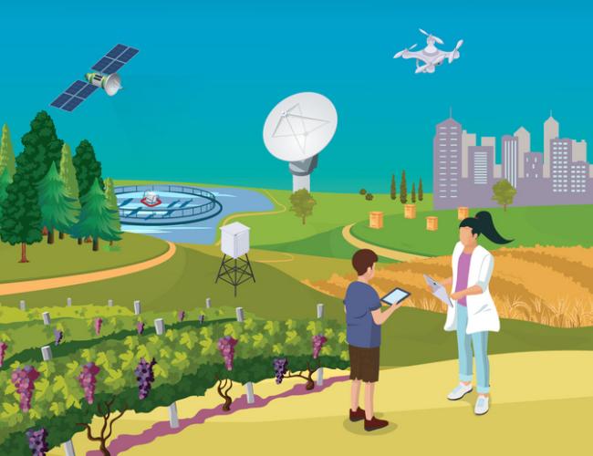 CORDIS results pack on environmental observations for the Green Deal