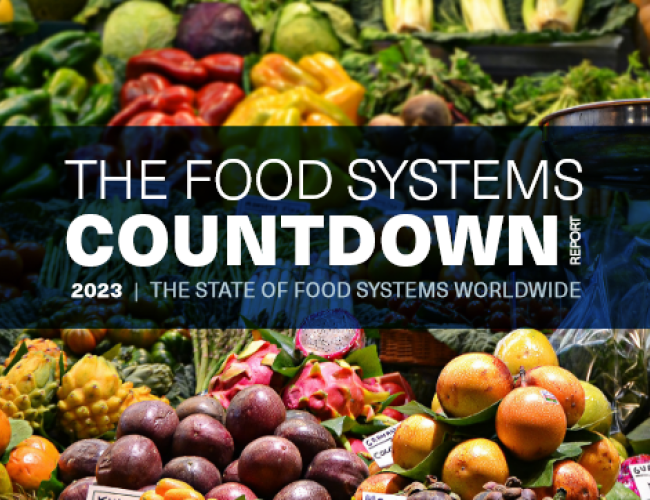 Tracking the performance of Food Systems