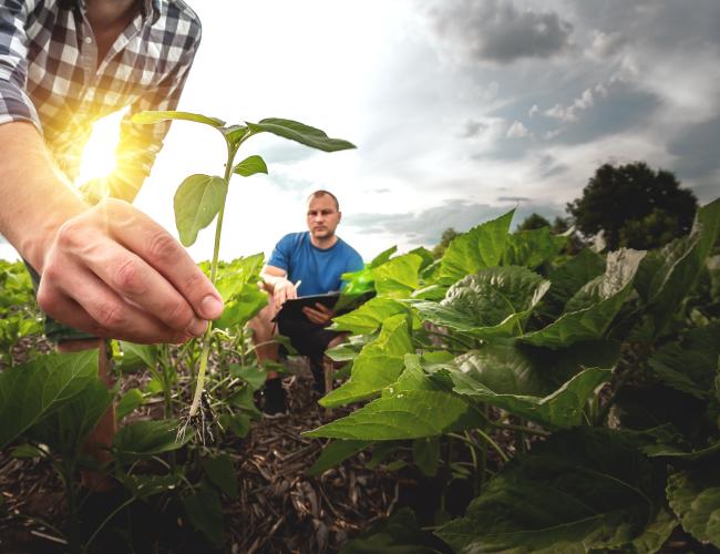 New Vision for Agriculture and Food
