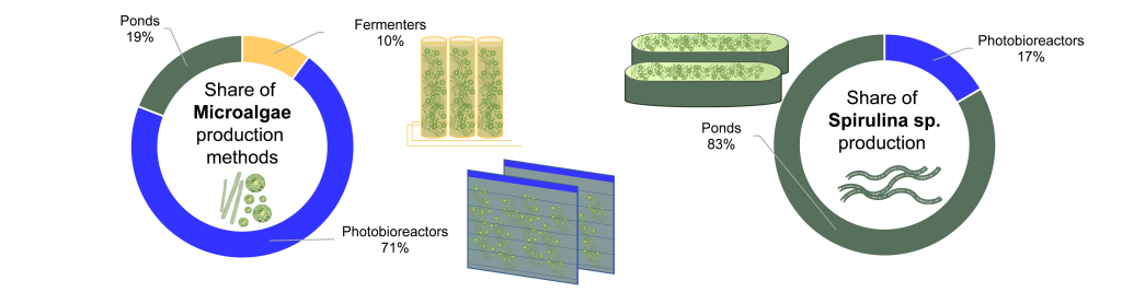 Algae-FIG10