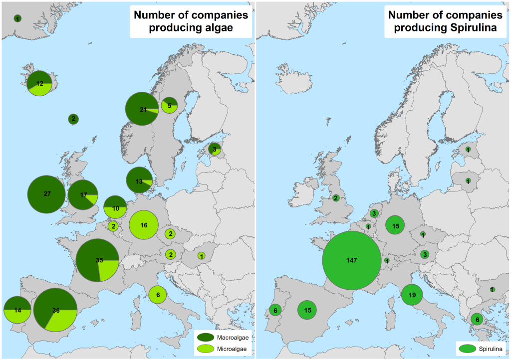 Number of companies producing algae and spirulina