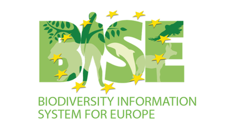 BISE logo