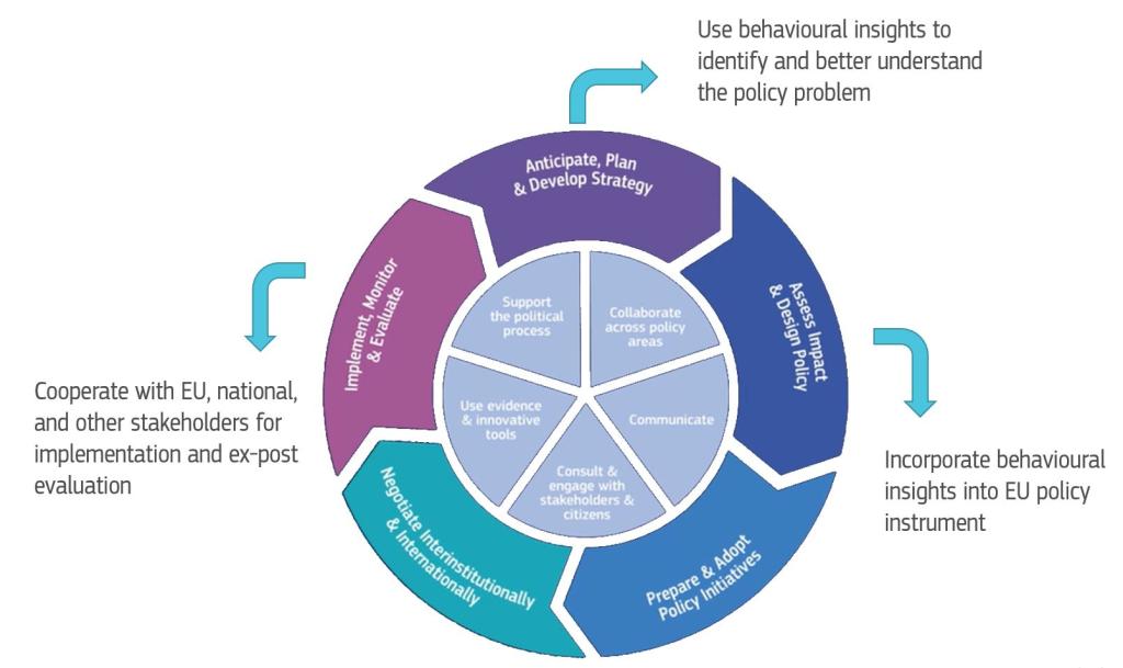 BI in the policy cycle