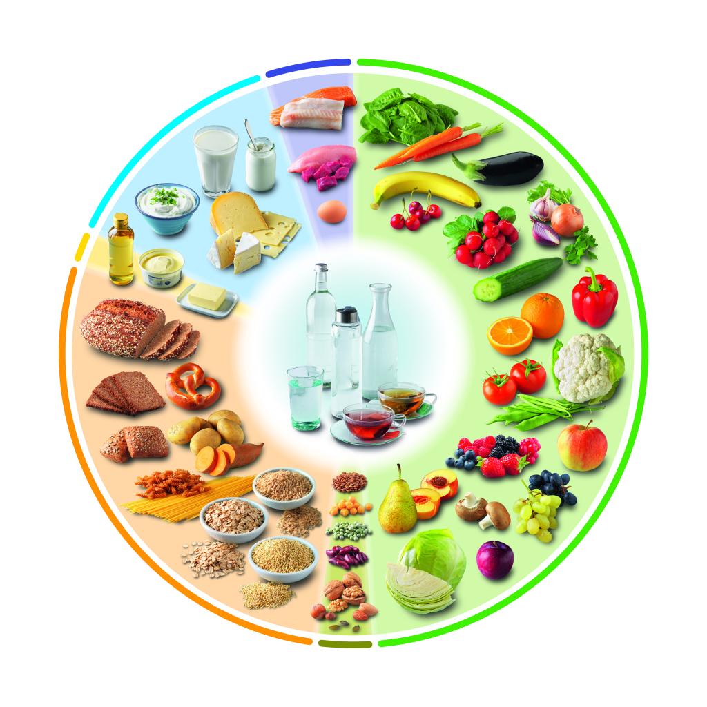 The DGE Nutrition Circle, 2024