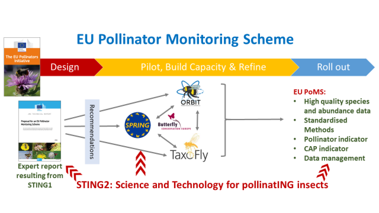 EU pollinator monitoring scheme