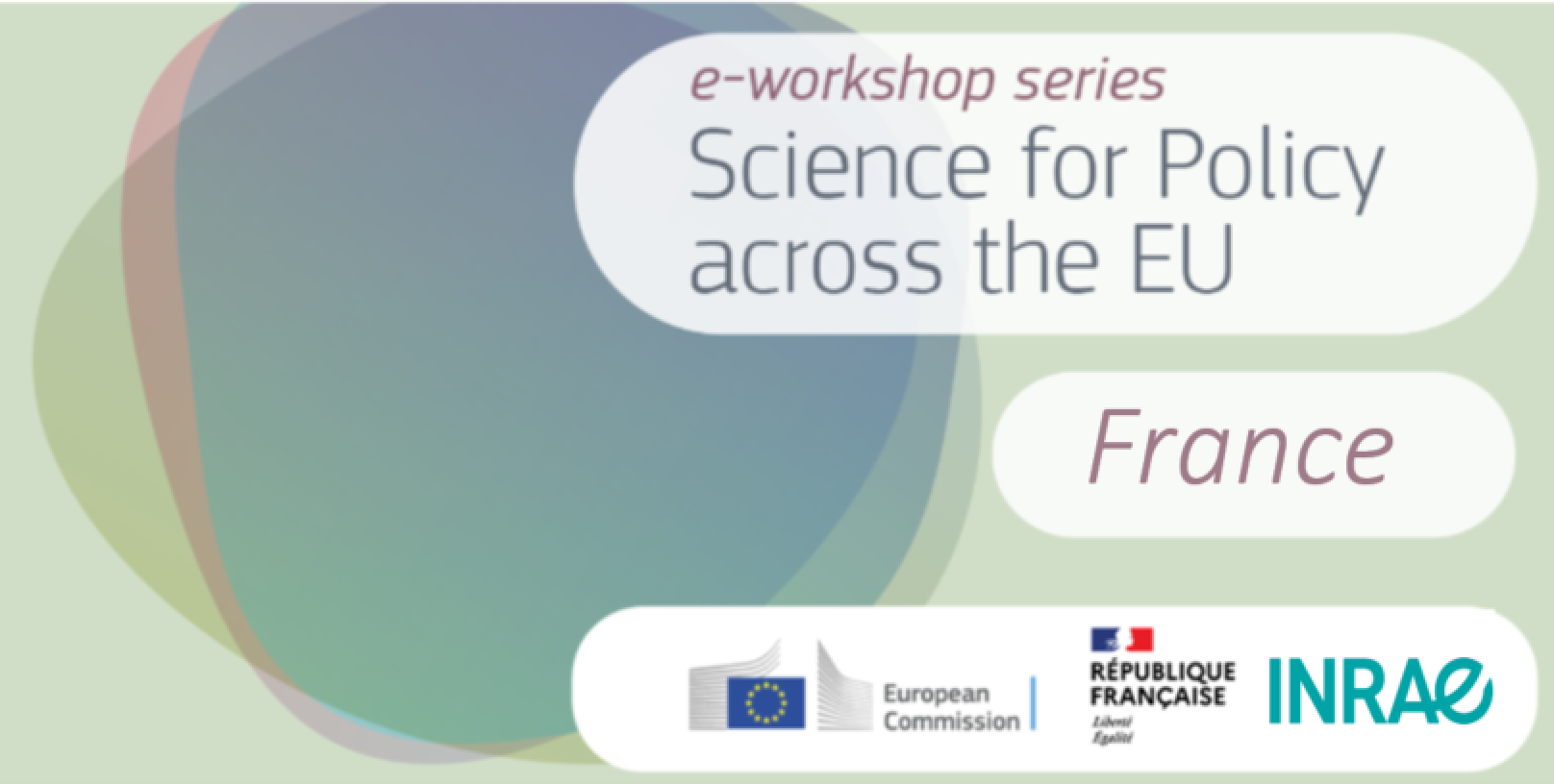 FR Workshop