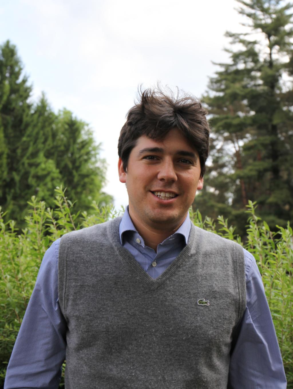 Stefano Verzillo