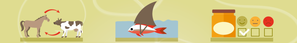 banner_reports
