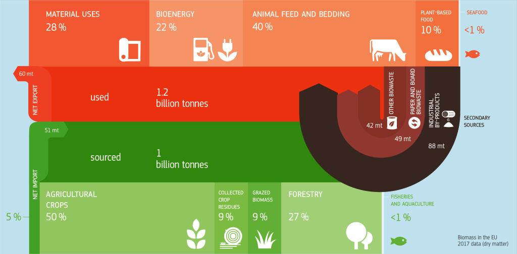 Biomass infographic slide 1 biomass web slide1 220610