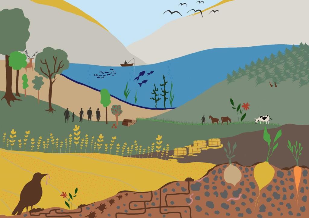 Image from the cover page of the Biomass mandate 10th anniversary report