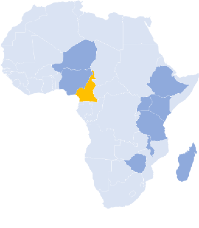 cameroun