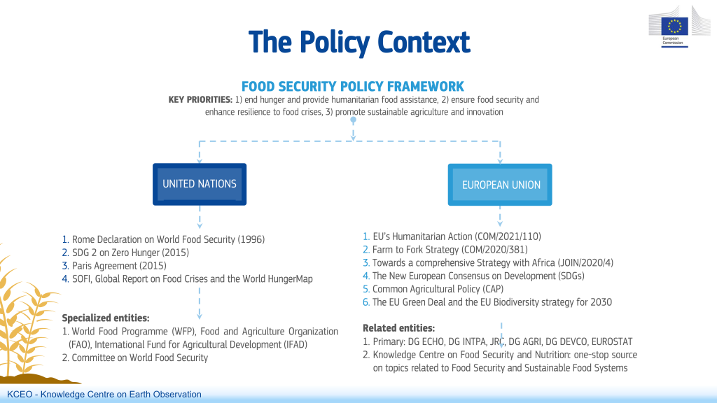 food_security-the_policy_context