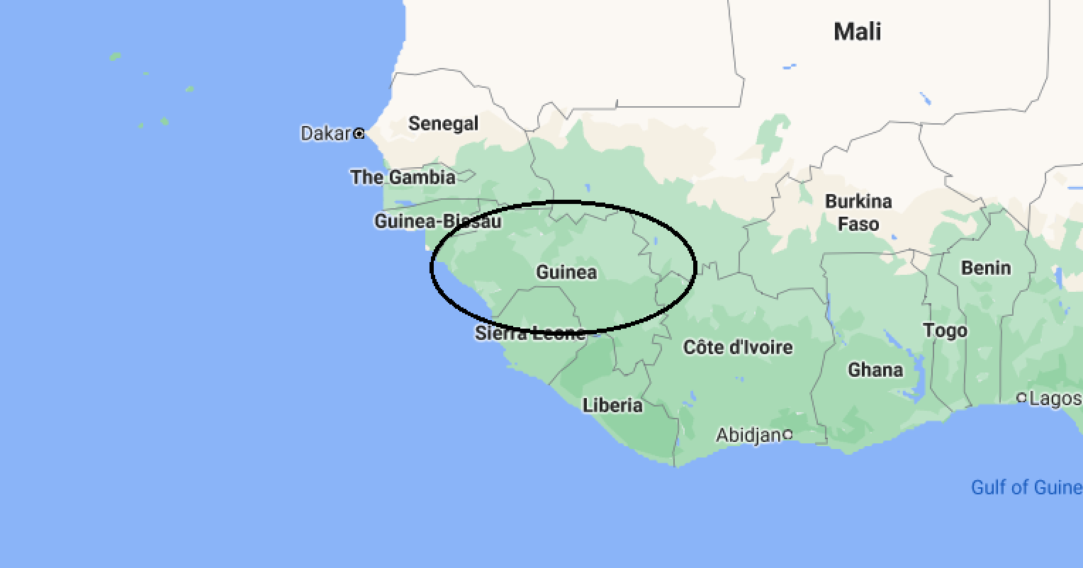 guinea