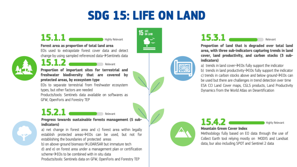 image_kceo-sdg_13_0