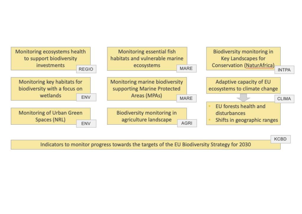 List of items per DG that EO support monitoring