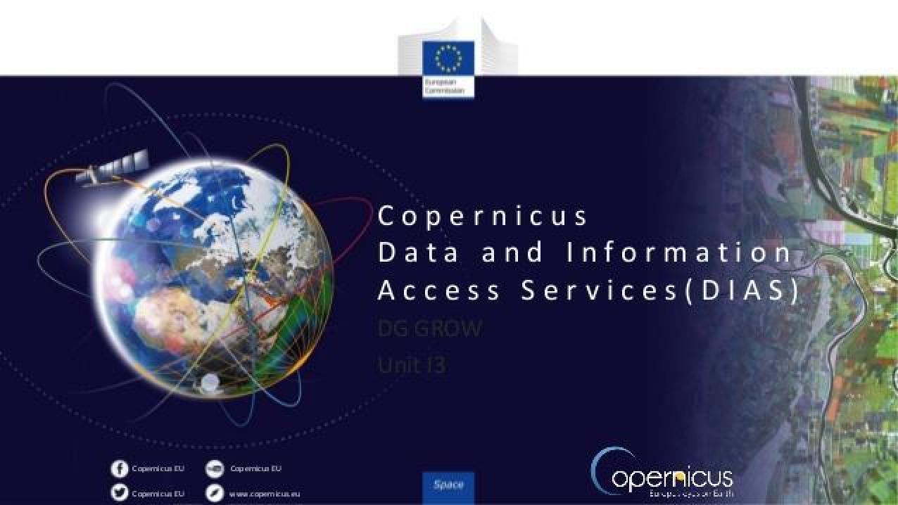 sc7-workshop-3-copernicus-data-and-information-access-services-dias-1-638