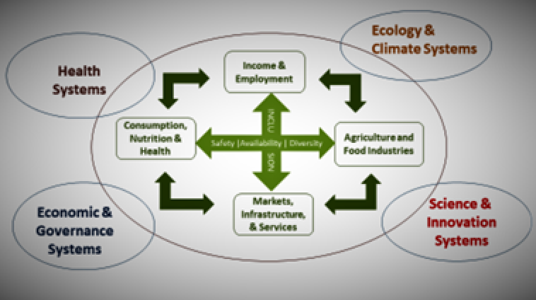 summary food systems