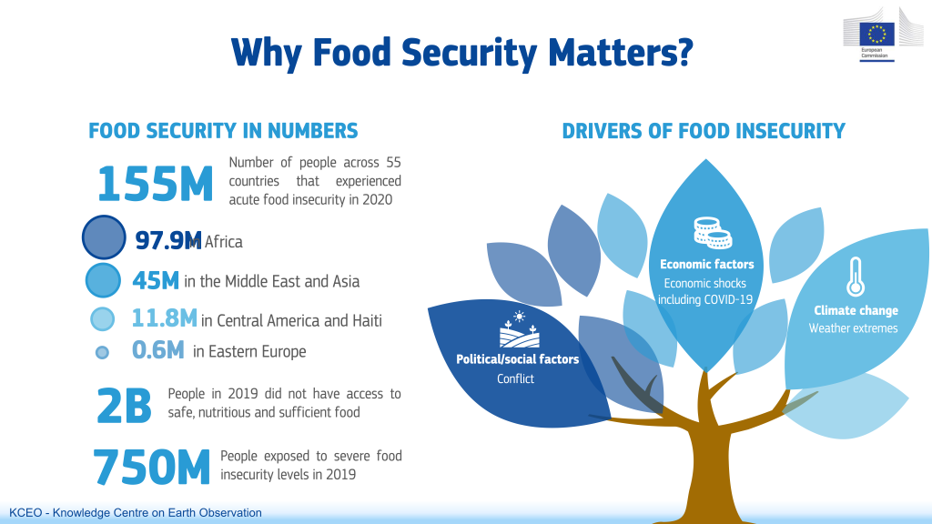 why_food_security_matters