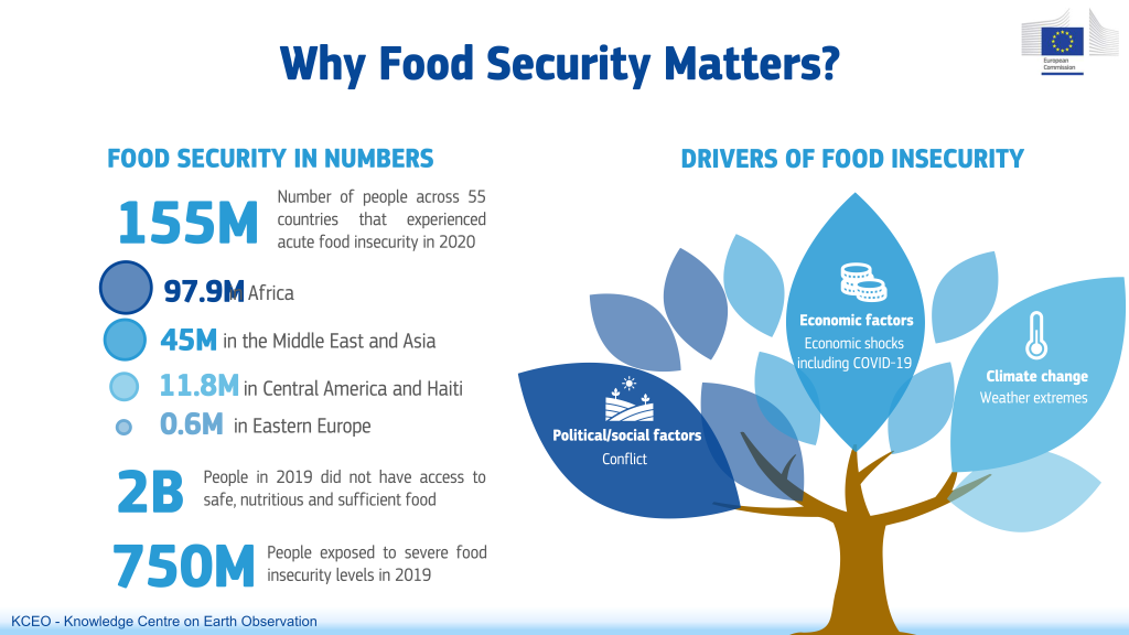 Image result for Why Exploring Global Cuisine Matters infographics