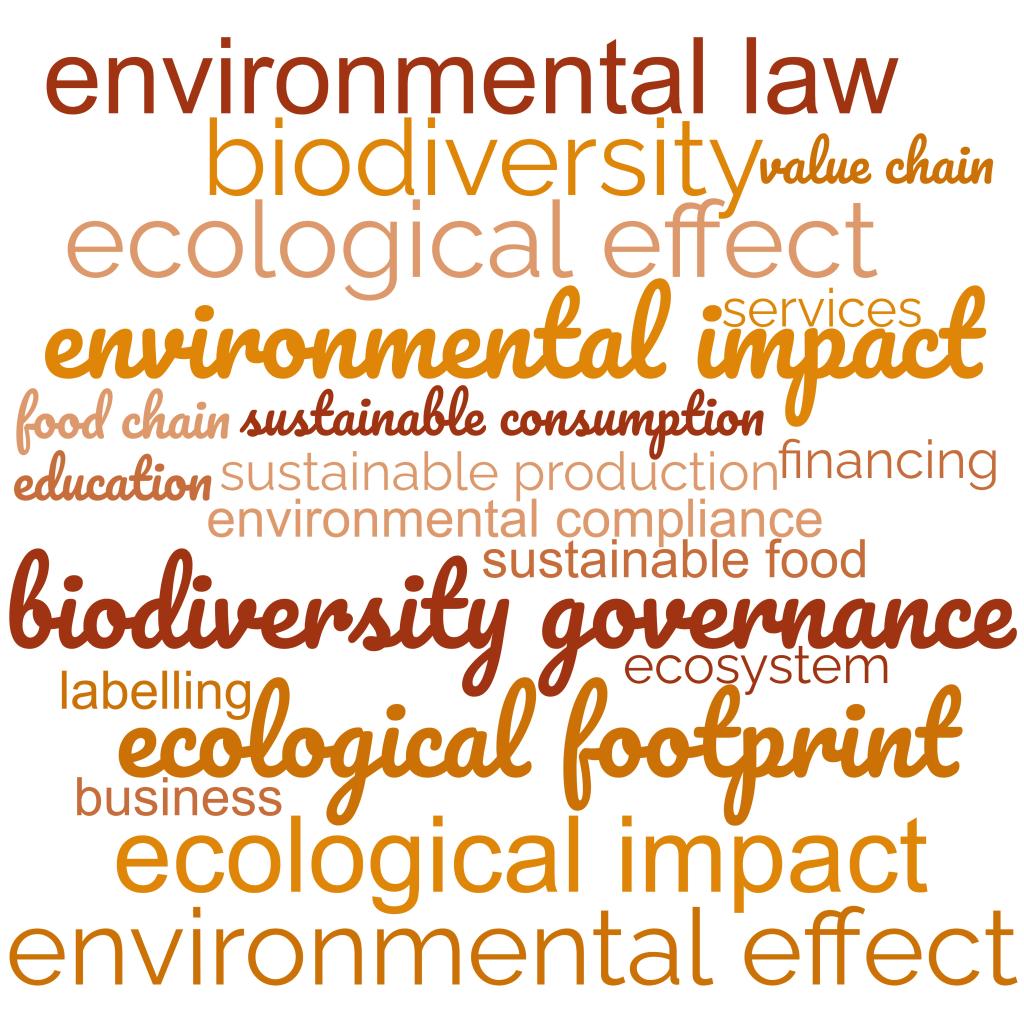 wordcloud Pillar3 take2A