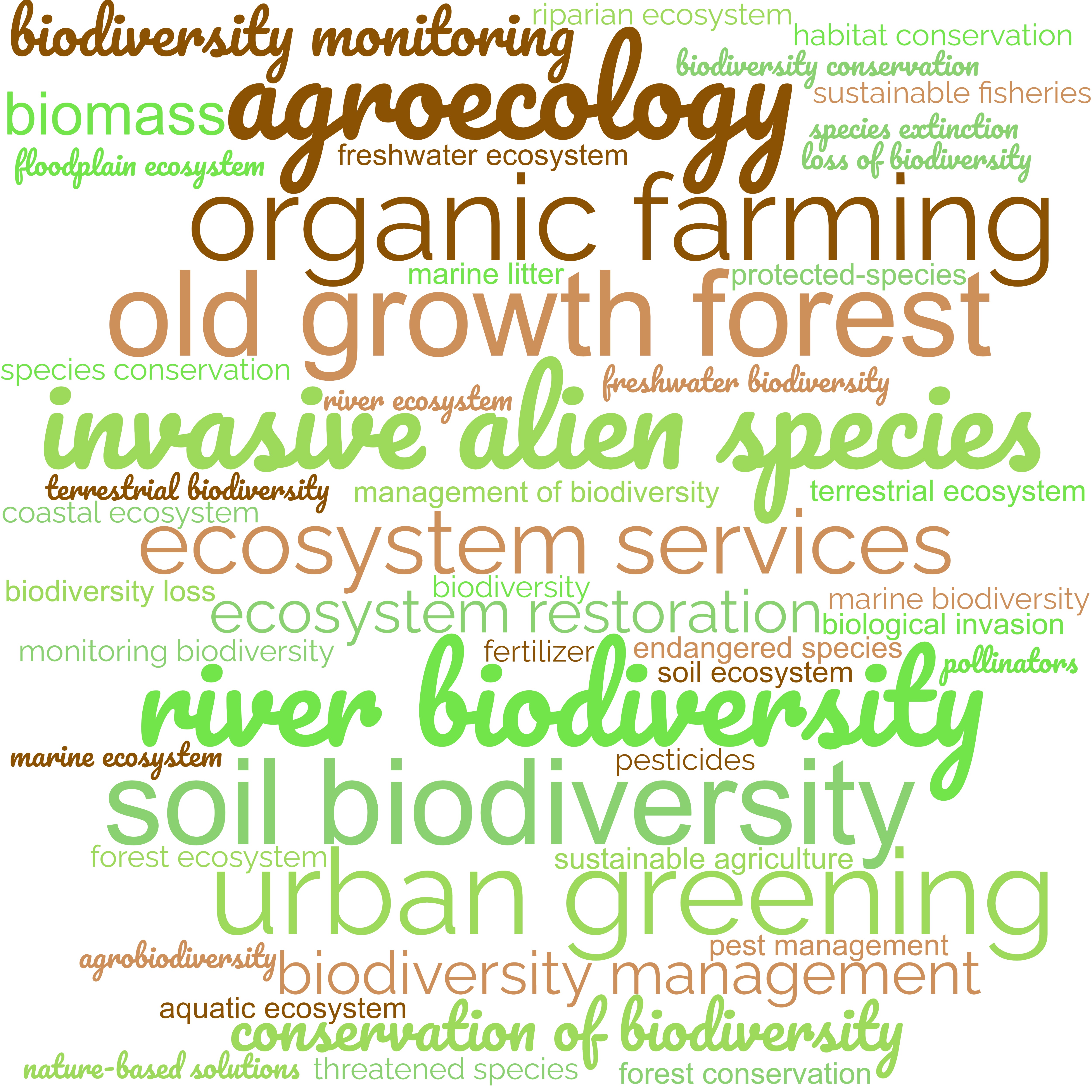 Cloud of words relative to restoring ecosystems