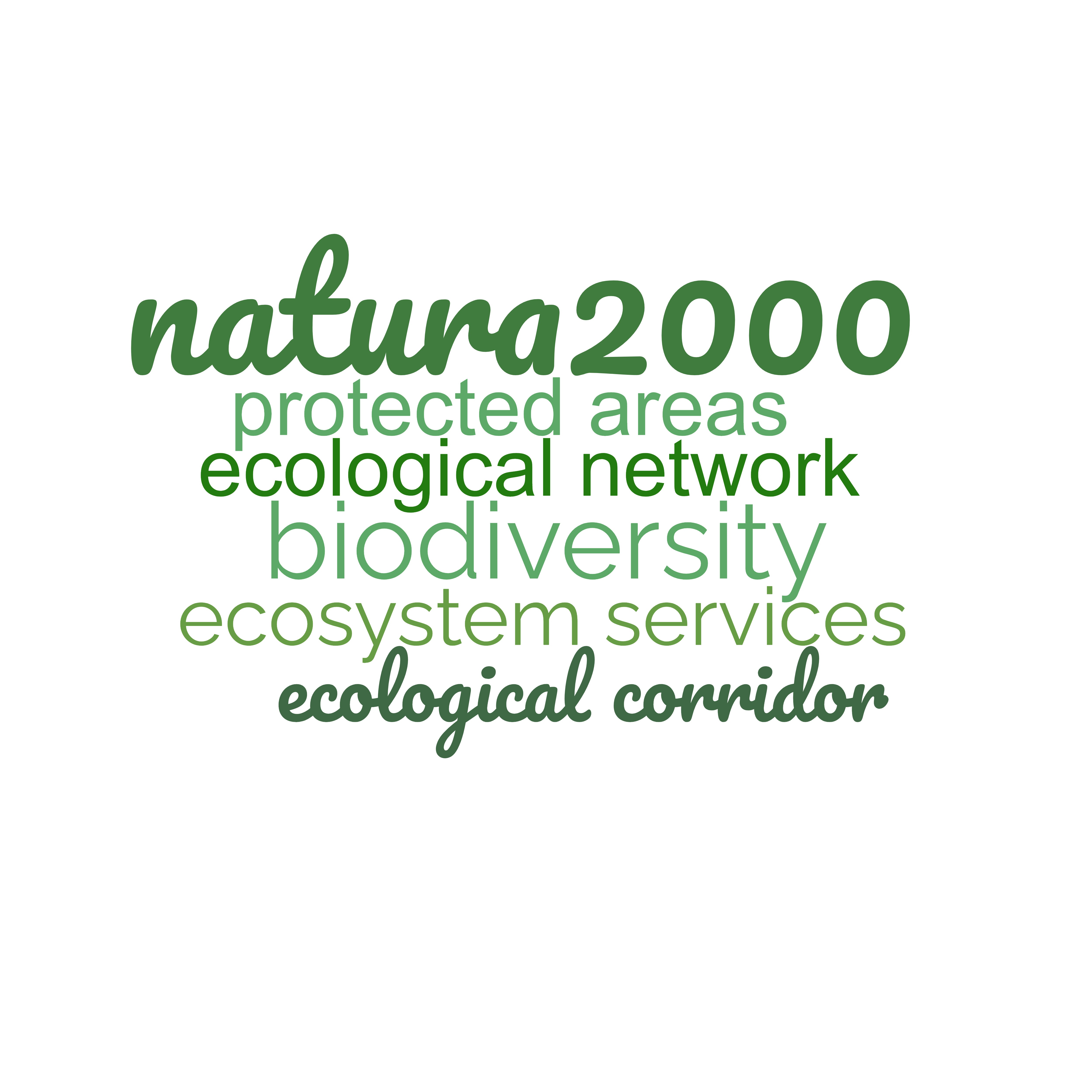 Cloud of words relative to protecting nature