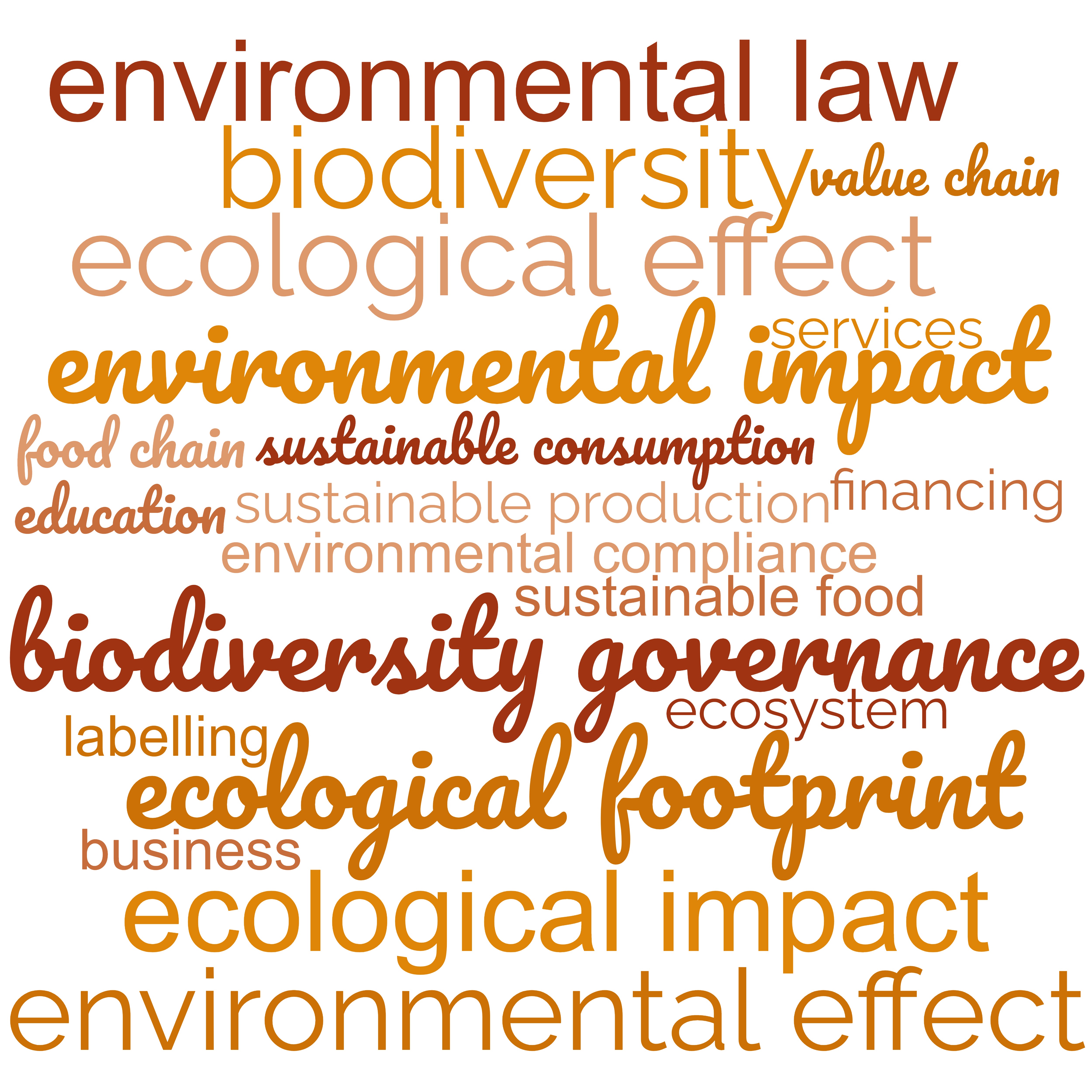 Cloud of words relative to transformative change
